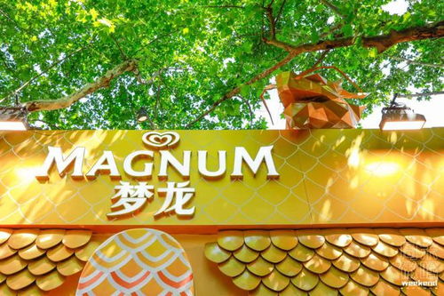 夢(mèng)龍 王嘉爾破次元聯(lián)動(dòng) 夢(mèng)龍pleasure store開(kāi)啟無(wú)界歡愉